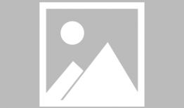 明星演的电视剧